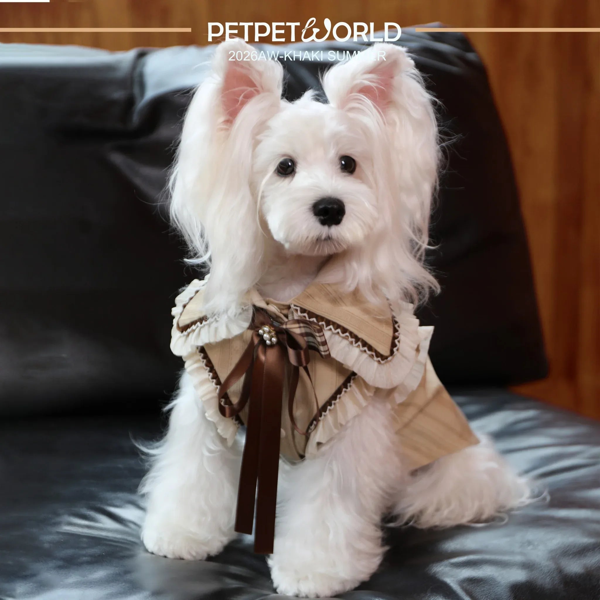 British Prince Bow Tie Shirt