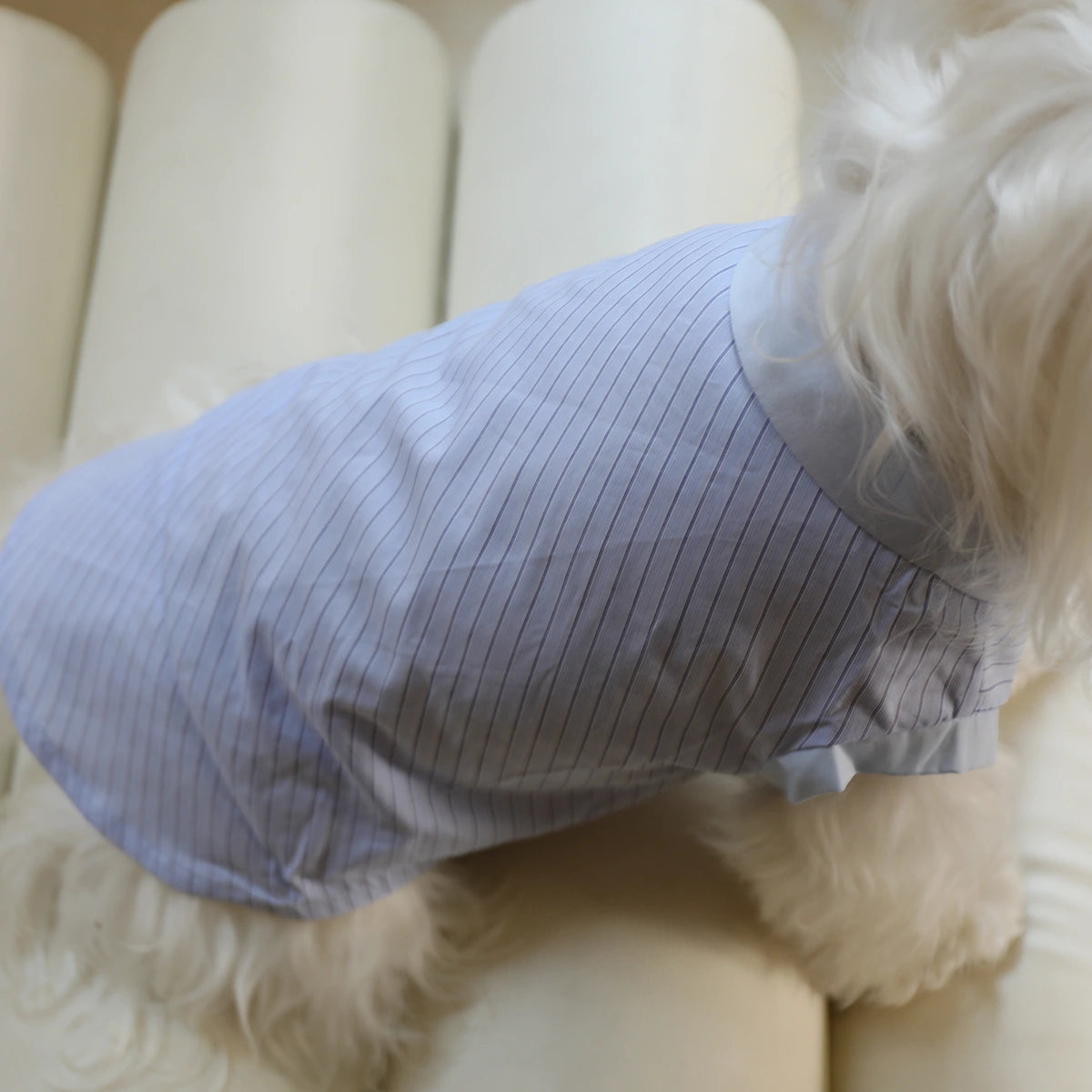 Hundeshirt mit maritimen Streifen und Schleife