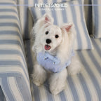Hundeshirt mit maritimen Streifen und Schleife