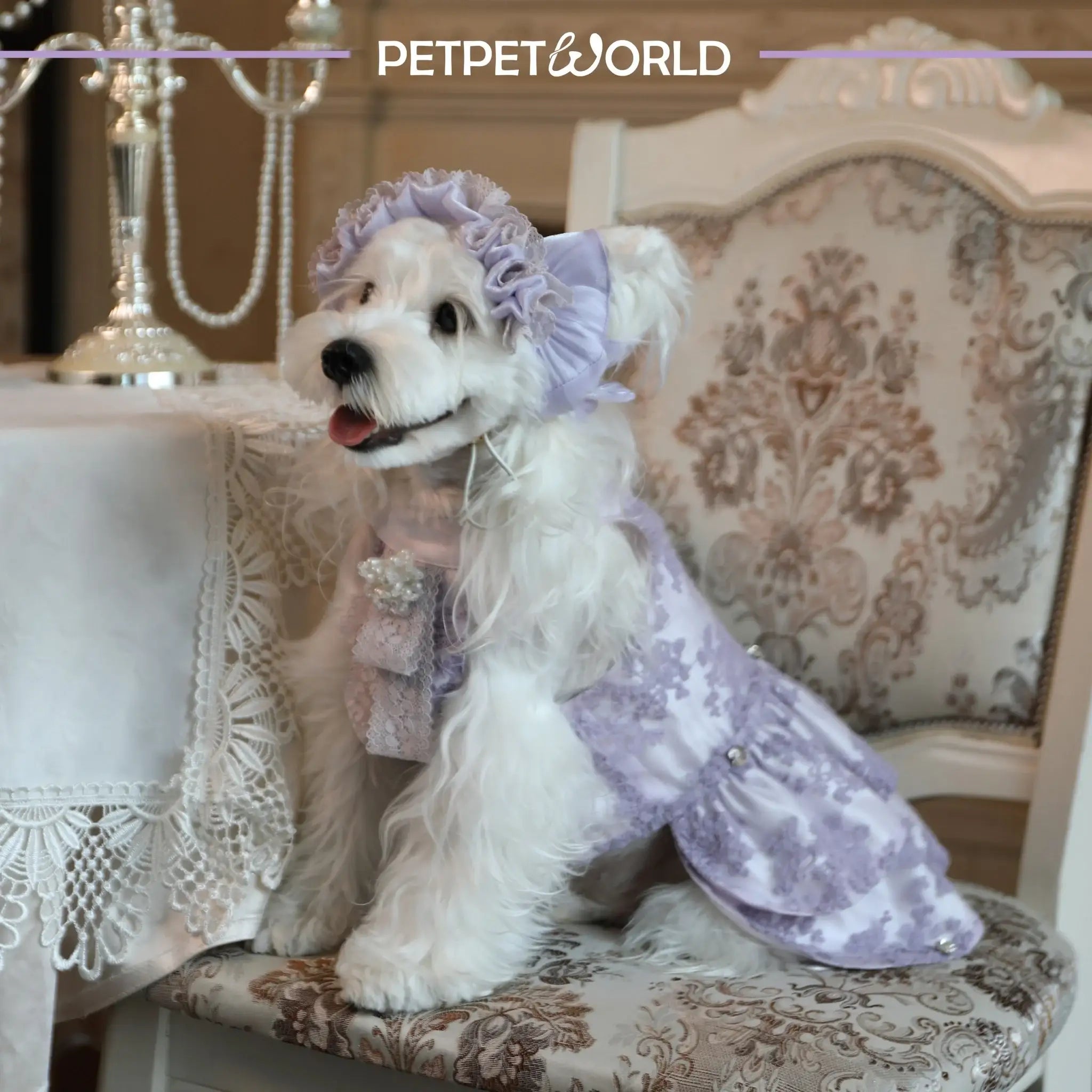 Lila Spitze Perlen Schleife Luxus-Hundekleid | Handgemacht