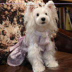 Lila Spitze Perlen Schleife Luxus-Hundekleid | Handgemacht