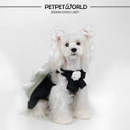 Miss Coco Schwarz & Weiß Schleifen Haustierkleid | Handgemacht