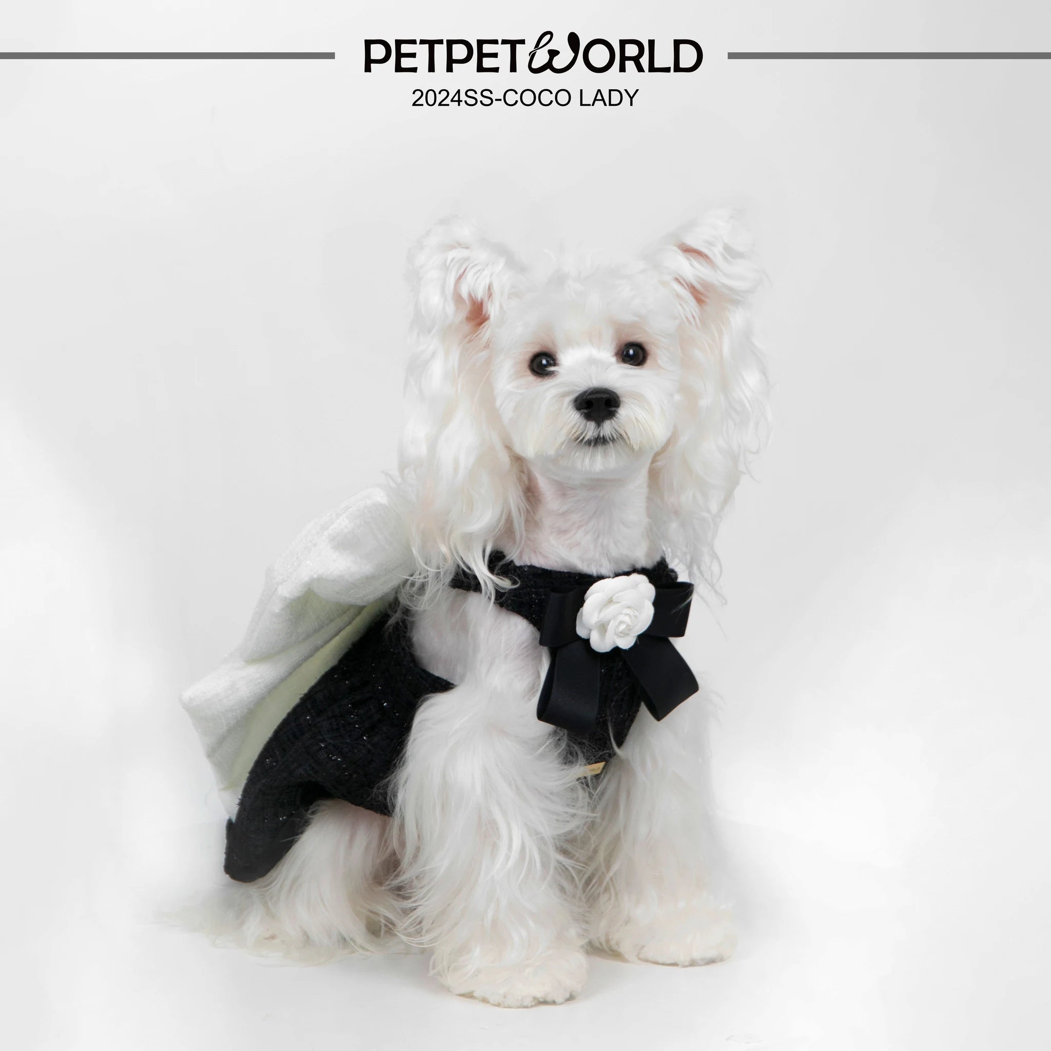 Miss Coco Schwarz & Weiß Schleifen Haustierkleid | Handgemacht